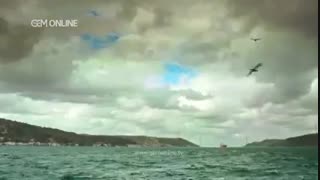 دانلود قسمت 295 سریال گوزل دوبله در تلگرام @Tasvirfa