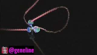 همانندسازی DNA