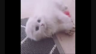 آپدیت اینستاگرام Park Shin Hye