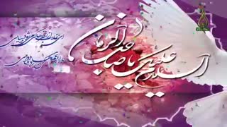 جاده ها پر نوره  - میلادت مبارک امام زمانم روحی فداک