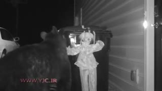 اقدام عجی برای ترساندن خرس