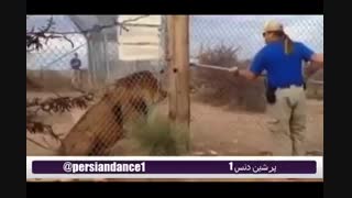 بدجوری ترسید