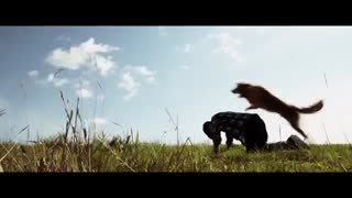 a dog's purpose 2017 trailer