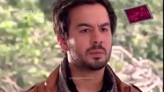 قسمت 255  سریال زبان عشق