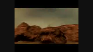 تکنیک شهاب سنگ خیلی خفن اوچیها مادارا تو واقعیت