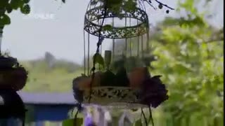 قسمت 121 اکیا دوبله فارسی(قسمت 122 و 123 در کانال @galleryfilmdl قرار میگیرد