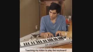 کلیپ باحال (4)