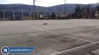 ماشین کنترلی مسابقه Wltoys L303 | فروشگاه ایستگاه پرواز