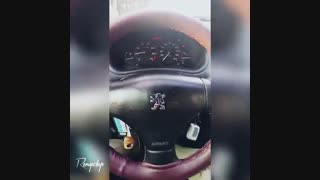 ریمپ پژو 206 تیپ 5  •  موتور 1600 •  TU5  •  فول لوازم