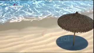 مشاور ارشد در زمینه رستورانهای زنجیره ای در ترکیه