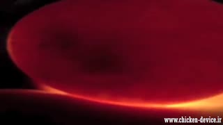 آموزش نطفه سنجی تخم مرغ