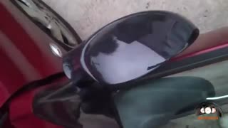 نصب آینه تاشو برقی پژو 206_اتوتک فتاحی