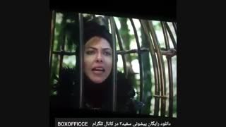 دانلود رایگان فیلم پیشونی سفید۳