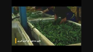 قهرمانان همت و تلاش - برداشت بیست و ششم