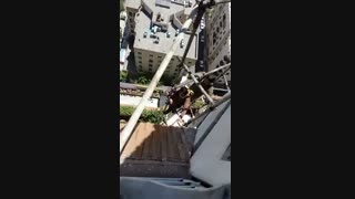 سمپاشی کنه ومایت پرندگان