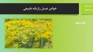 خواص عسل رازیانه طبیعی