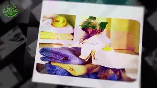 استاد خاتمی نژاد - فرزند آوری سلبریتی ها