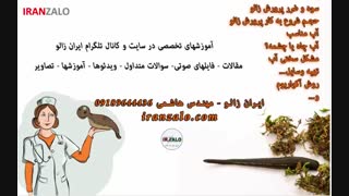 43 پرسش و پاسخ 3