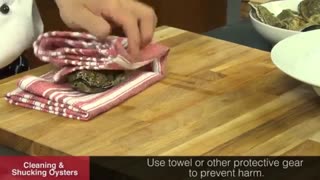 همه چیز درباره طرز باز کردن صدف اویستر و خوردن آن