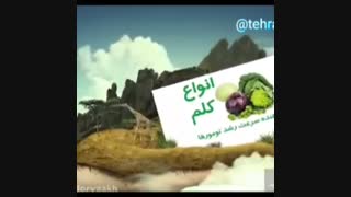 مبارزه با سرطان
