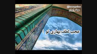 امیر بی گزند - محسن چاوشی