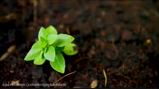 سرنوشت شما به 'حال' شما وابسته است! استاد پناهیان