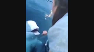ملک بال | دلفین مهربون .. .