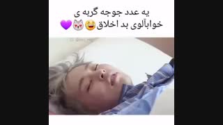 وقتی شیومین از خواب پا میشه