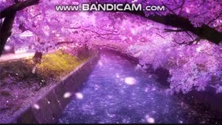 مسابقه انیمه ای« مرحله اول»