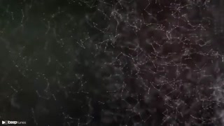 دانلود البوم ابراهیم محسن چاوشی