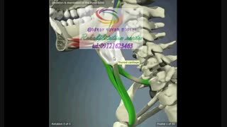 تخصصی ترین مراکز درمان بیماری های حنجره در کرج|گفتار توان گستر البرز09121623463