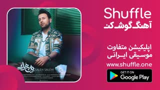 آهنگ جدید صالح صالحی به نام ببین هوا رو