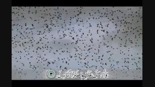 ترجمه تصویری سوره فیل