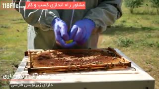 آموزش جامع زنبورداری -www.118file.com