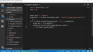 دانلود آموزش ﻿TensorFlow - نسخه ی نمایشی: با استفاده از یک مدل TensorFlow...