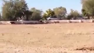 جن و ارواح . موجودات عجیب