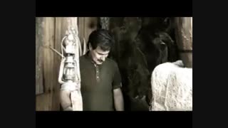 زخمی عشق تنهاکرمانشاهی