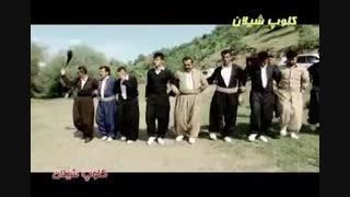 سروین لارتنهاکرمانشاهی