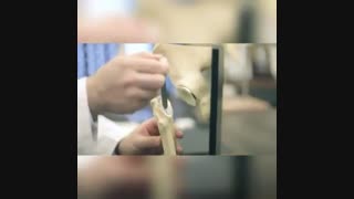 مورد اجزای تشکیل دهنده پروتز مفصل ران