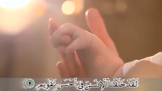 ترجمه تصویری سوره تین